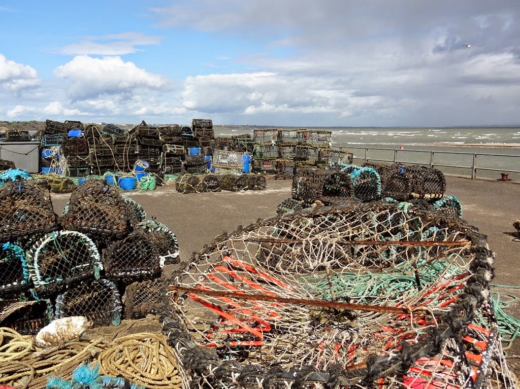 [DSC05724%2520%25281300x974%2529%255B5%255D.jpg]