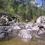 West Fork of Mongollon Creek
