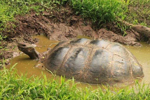 [IMG_1298%255B7%255D.jpg]