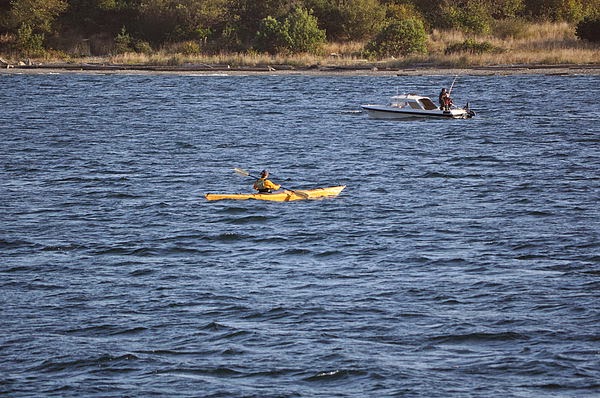 DSC_3434.JPG DSC_3434.JPG