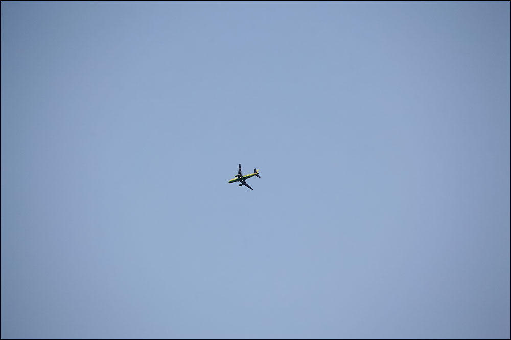 IMG_4963.jpg