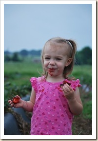 sweet brooklyn with berries sweet brooklyn with berries