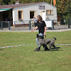 IMG_2846.JPG