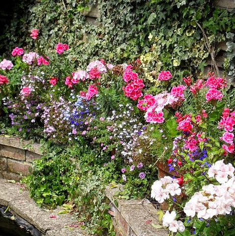 container garden