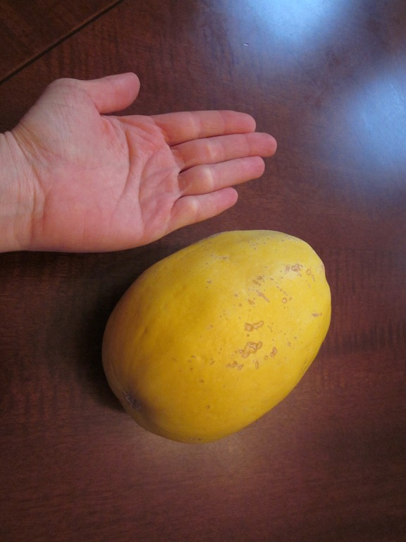 [IMG_3545%255B4%255D.jpg]