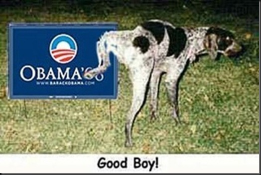 ObamaDog