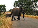 South Africa - 154.JPG