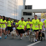 Pet Express Doggie Run 2012 Philippines. Jpg (31).JPG