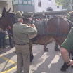IMG-20120513-00047.jpg