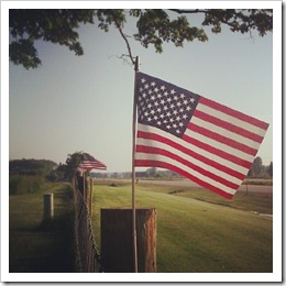 flags