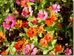 IMG_0851 IMG_0851