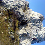 dsc00731.jpg