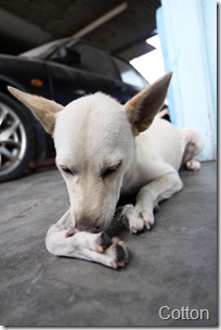 IMG_0310 IMG_0310