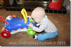 IMG_0174 IMG_0174