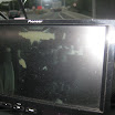 eerstes zwin 2011 001.jpg