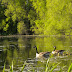 Naturallands%25252004