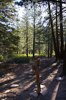 IMGP0002.JPG Photo