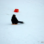 DSC_3461.JPG