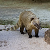 20110430_by-nc-nd_002_MG_8983.jpg