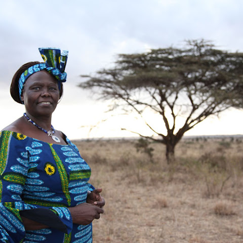 Wangari Maathai from Kenya campaigned for human rights and the environment, along with helping to support the rights of women and girls.