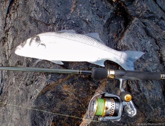 [Cornwall%2520Fishing%25202012_14%255B2%255D.jpg]