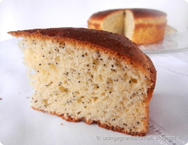 kalàcs semi papavero pane dolce brioches unghere ungheria panna acida kalàcs semi papavero pane dolce brioches unghere ungheria panna acida