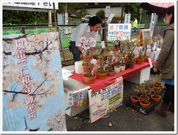 2013OsakaTrip_Day3_42