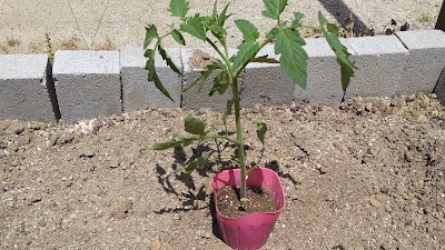 2014-05-04 12.55.49.jpg