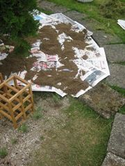 IMG_2530 IMG_2530