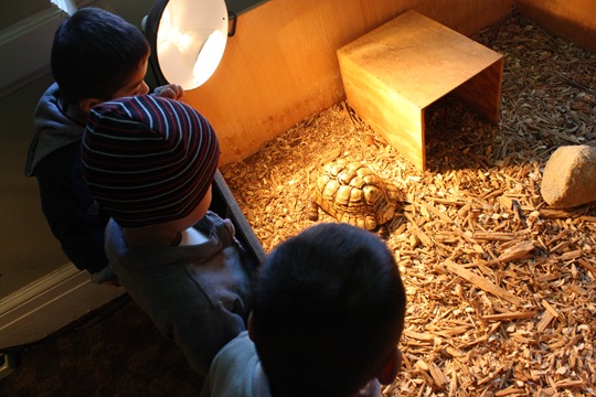 [IMG_1196%255B4%255D.jpg]