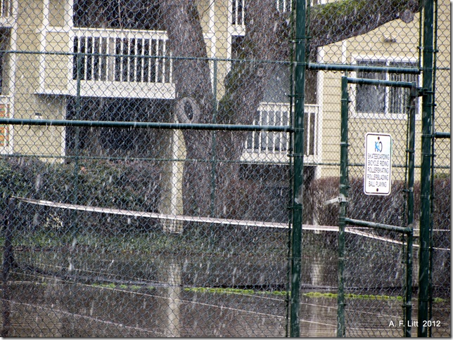 Snow.  Gresham, Oregon.  February 26, 2012.