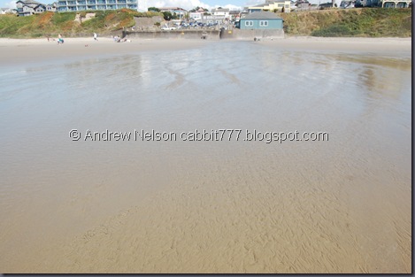 DSC_0848 DSC_0848