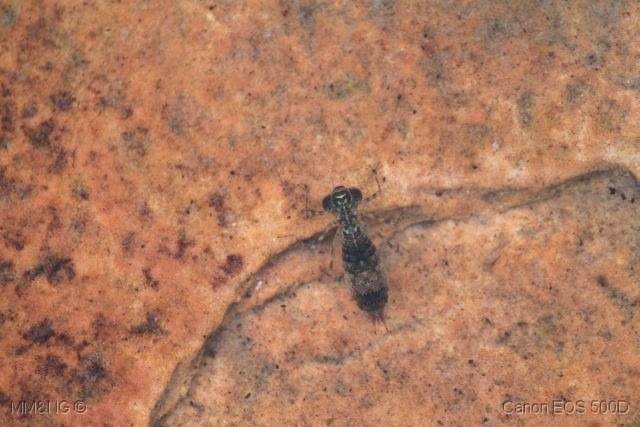 [IMG_2181%255B4%255D.jpg]