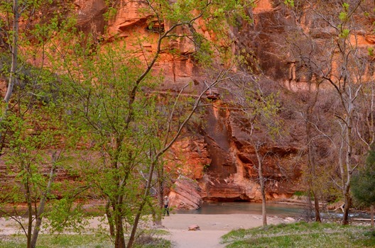 Zion_195