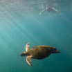 VE015 Day 6 Snorkeling Vol. Ecuador.jpg