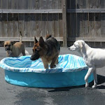 DSCN5074.jpg