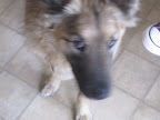 Thankfully Phoebe and Jackie stepped up and offered Connor another chance. Now he is part of the family of his dreams!