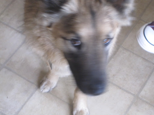 Thankfully Phoebe and Jackie stepped up and offered Connor another chance. Now he is part of the family of his dreams!
