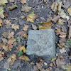 dsc03967.jpg