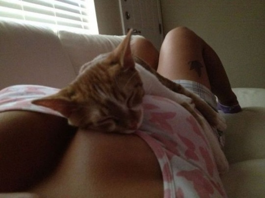 [viral-picdump-pics-fbe709%255B2%255D.jpg]