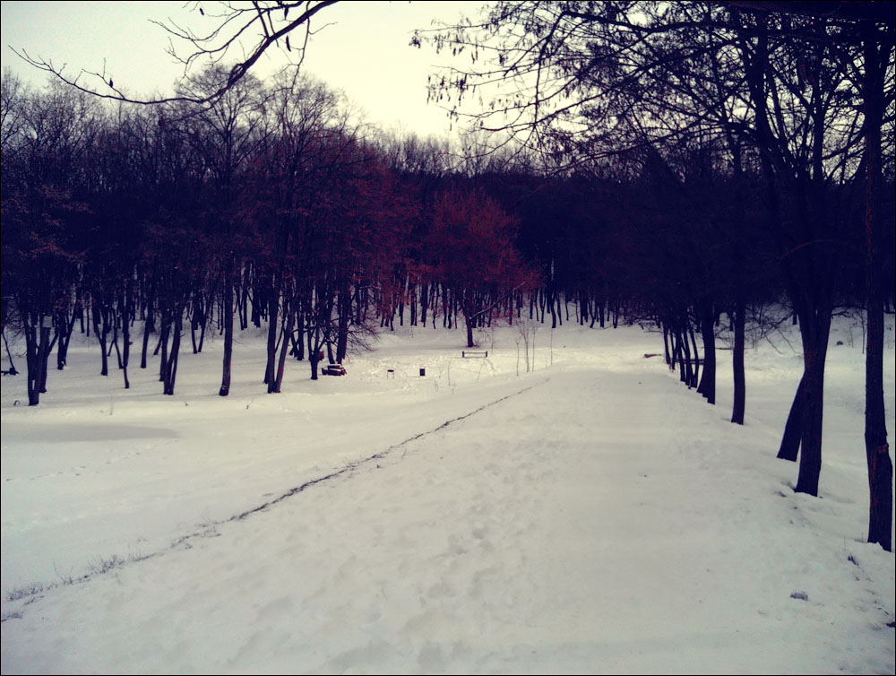 IMAG0185.jpg