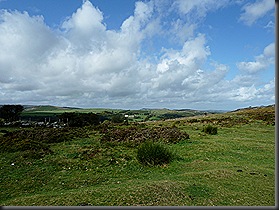 dartmoor 016