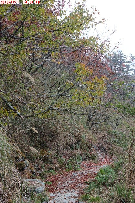 2013_1207_143118 2013_1207_143118