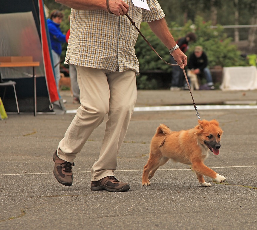 [Spesialen%25202011_210811_2382%255B4%255D.jpg]