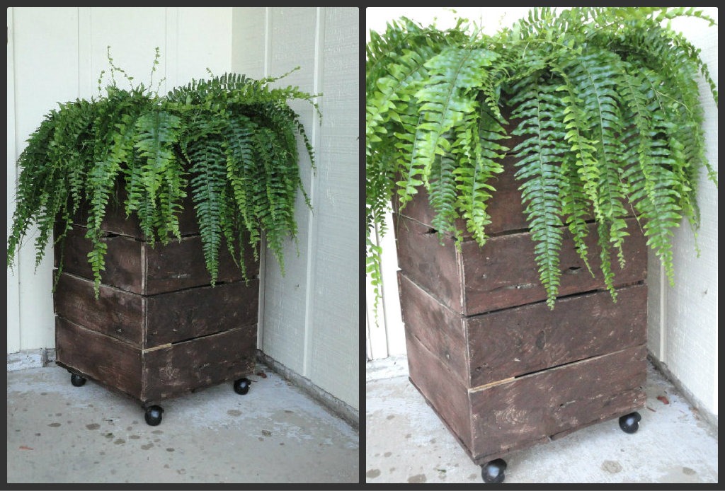 [Pallet%2520Planter%2520Collage%25202%255B5%255D.jpg]