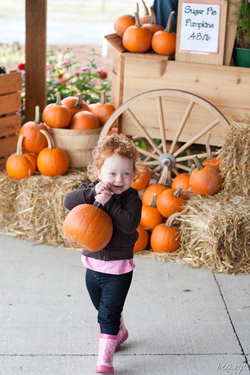 [20121011-IMG_058521.jpg]