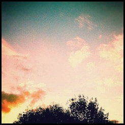 IMG_20120815_172859