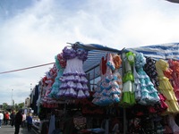 IMG_2953 IMG_2953