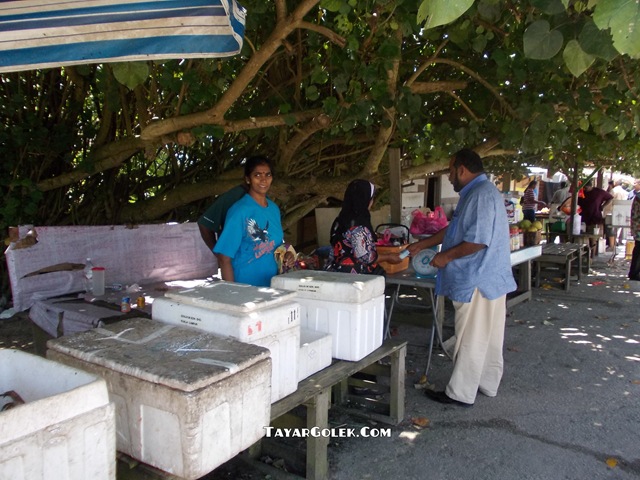 [DSCN10915.jpg]