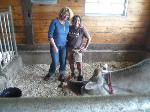 Me, Janine from Thistle Hill Farms, Lucinda the heifer, and her mom a little after she was born.